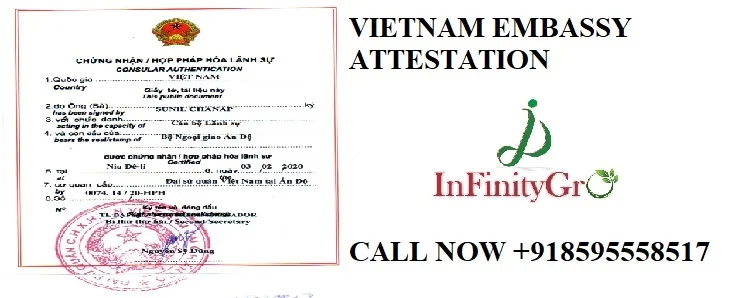 Indian issued Educational Certificate or Document Attestation / Legalization from Algeria Embassy in India